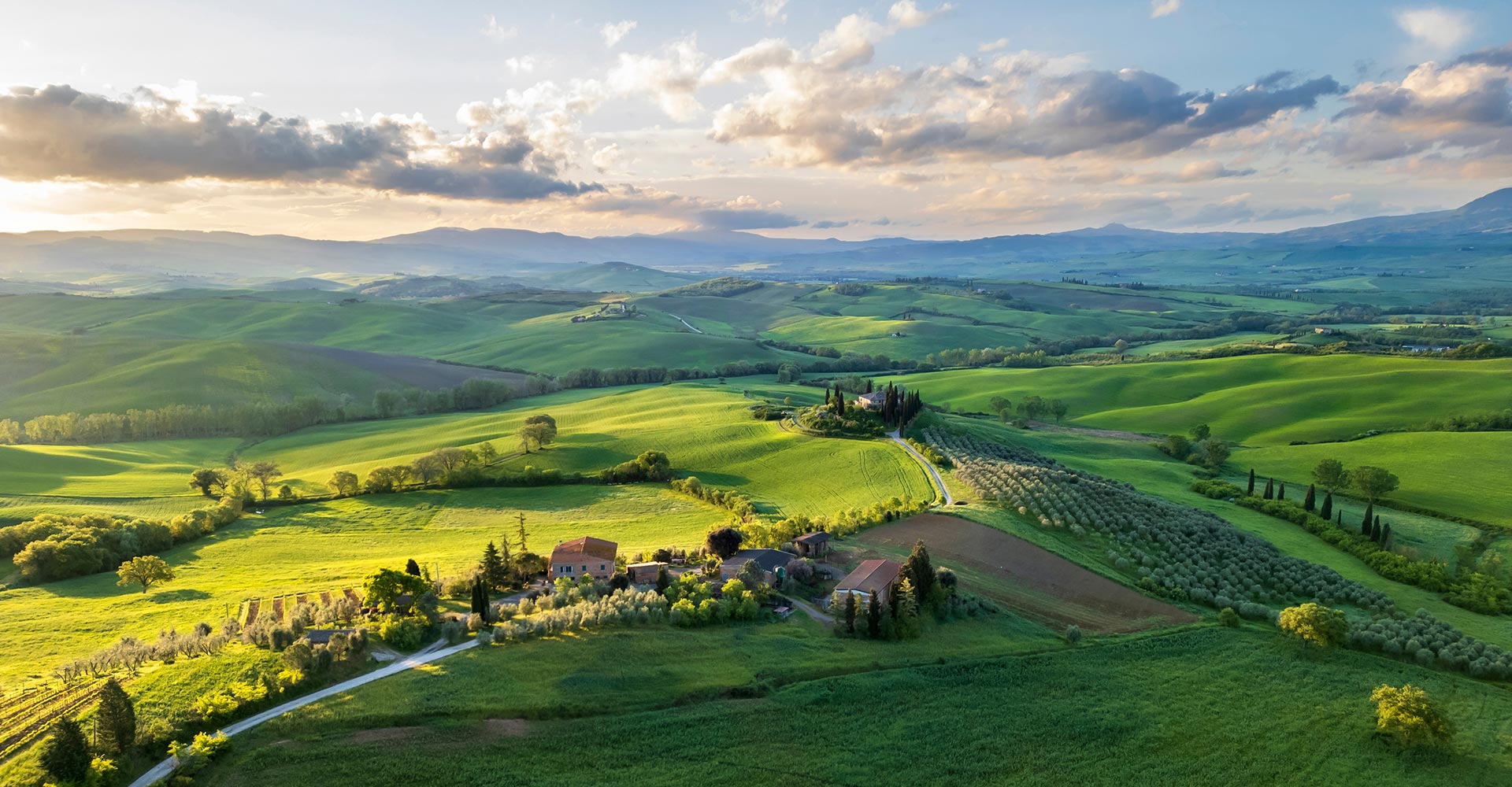 Tuscany wine