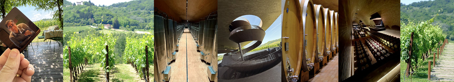 Antinori Wine Tasting