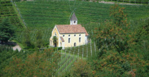 English Winery