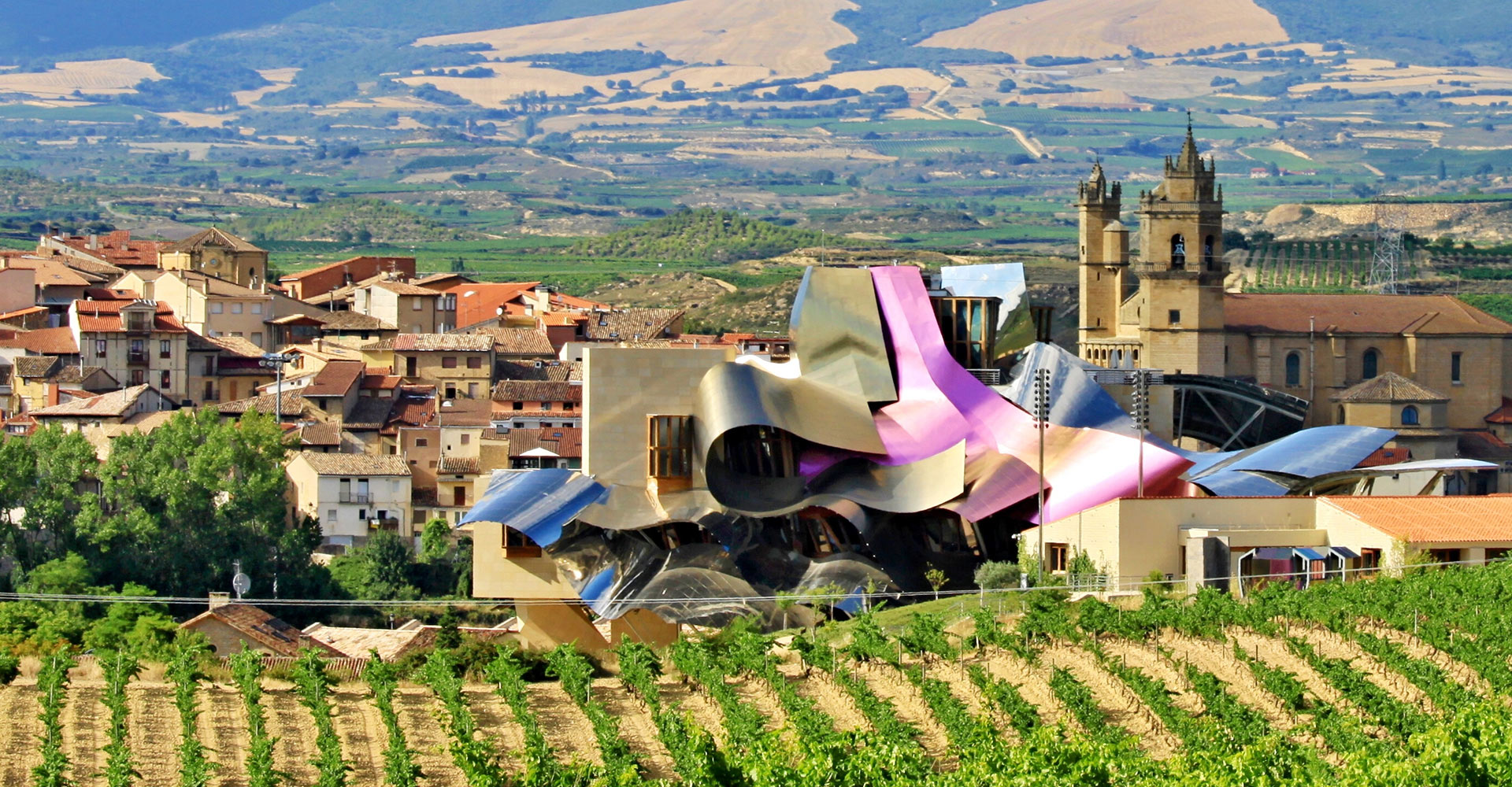 Top 50 Wineries