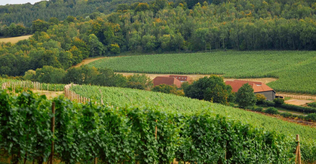 Hundred Hills Wine English Sparling Wine