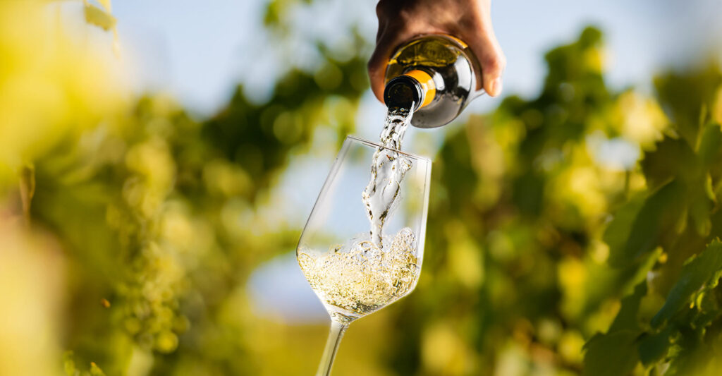 fresh-wine-flavours-2026