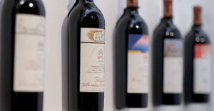 Chateau Mouton Rothschild Winery Visit