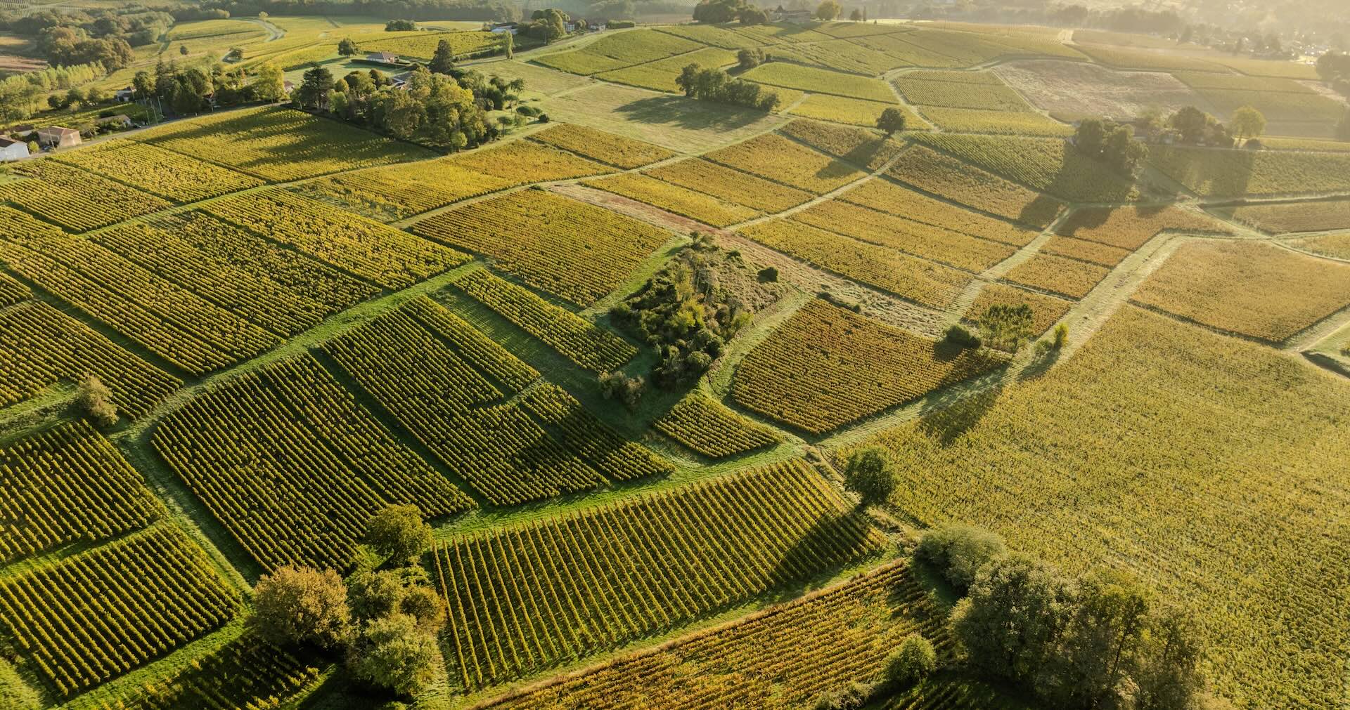 Bordeaux-2025-en-primeur