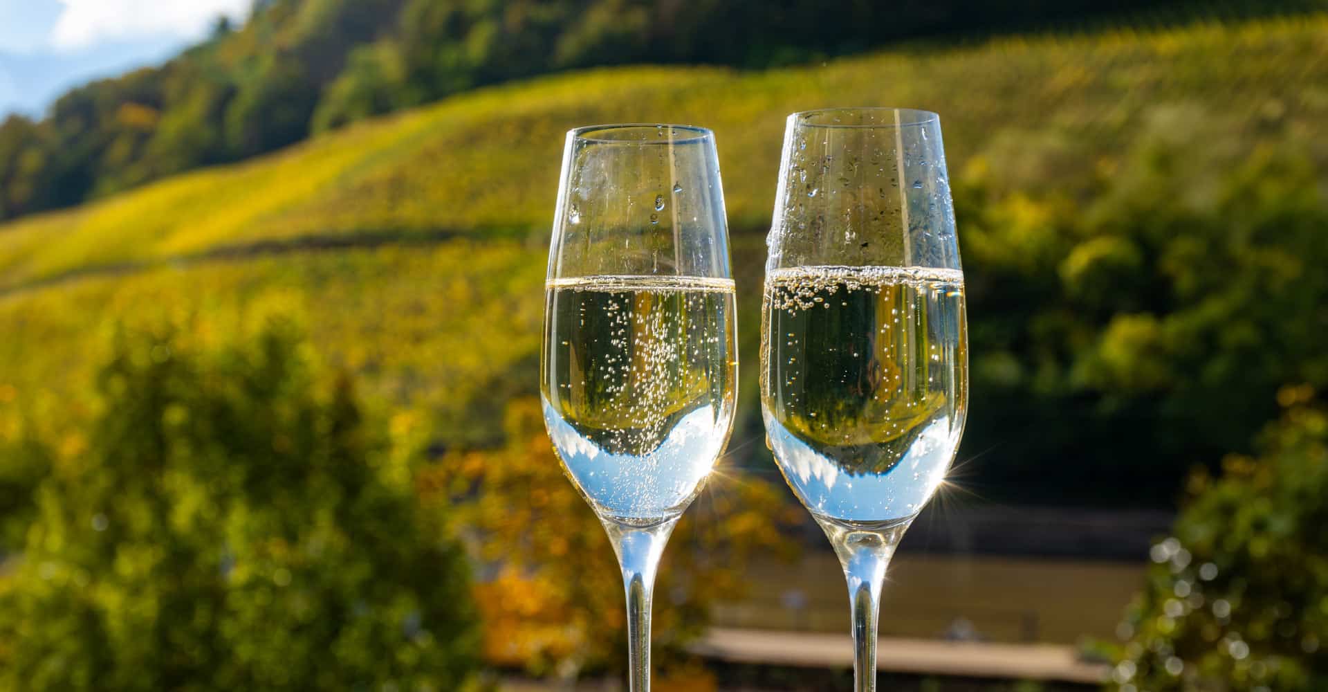 Everflyht English sparkling wine